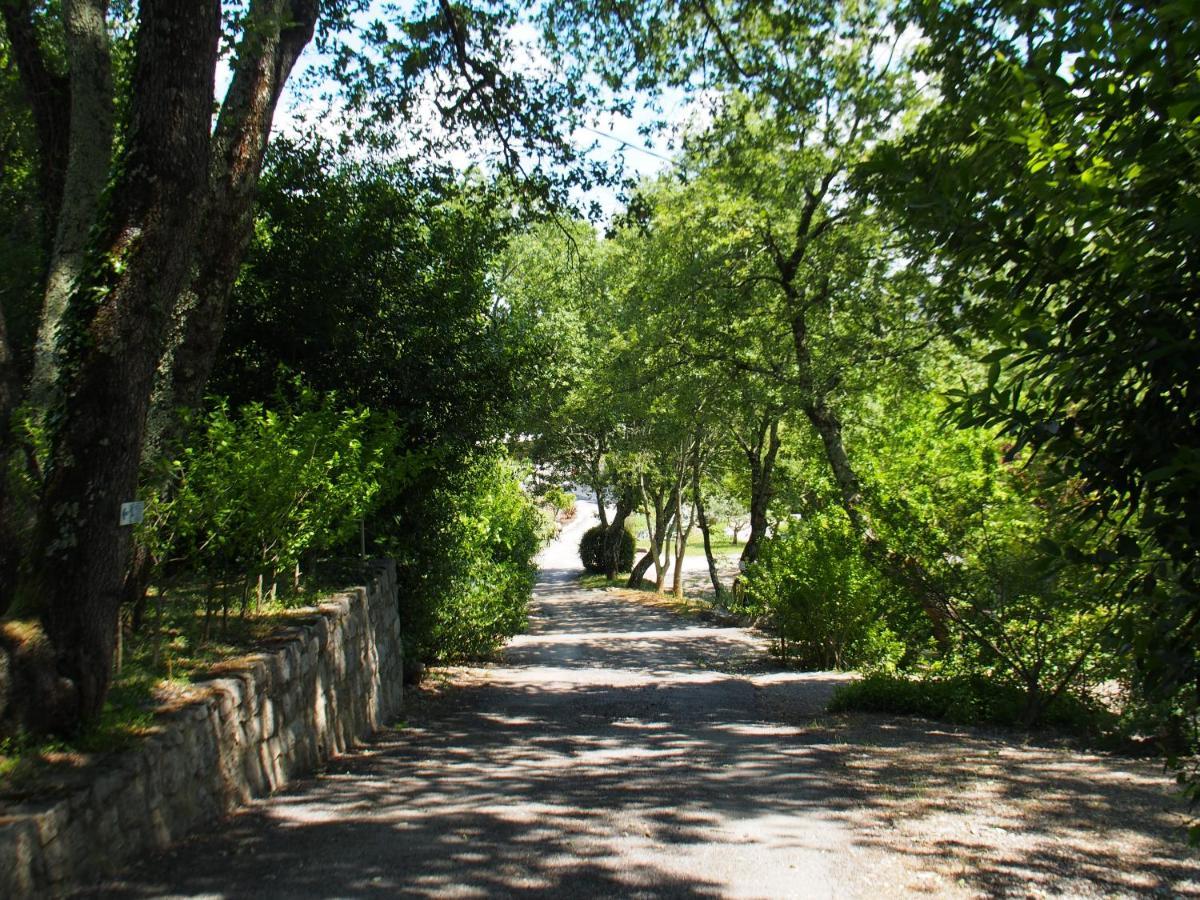 Camping Mas Du Sartre Saint Alban Auriolles Экстерьер фото